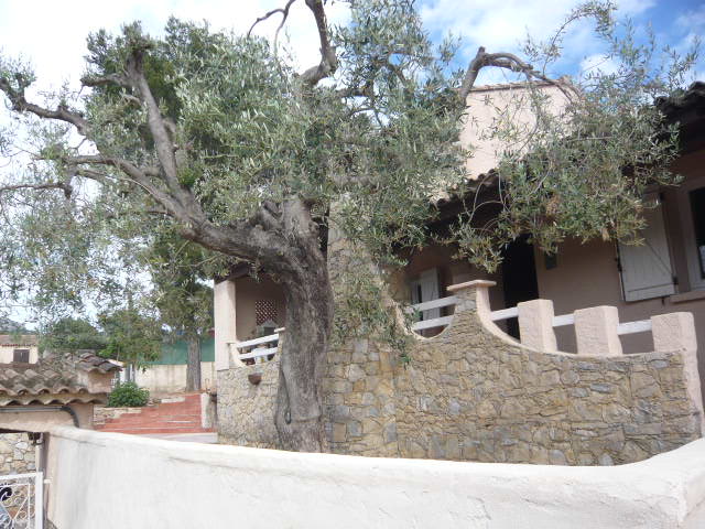 Maison-Villa - TOULON